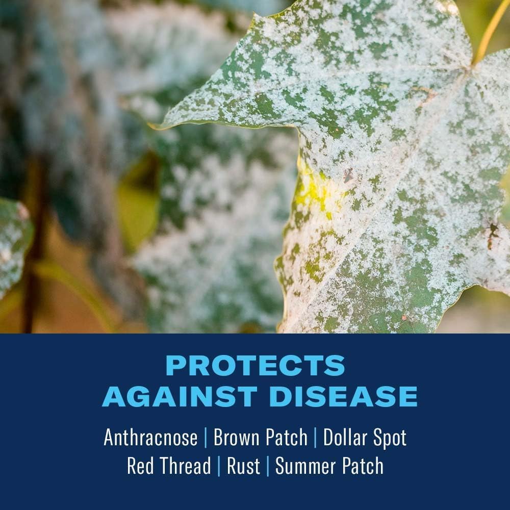 BioAdvanced Fungus Control blue bottle protecting lawns from common diseases.