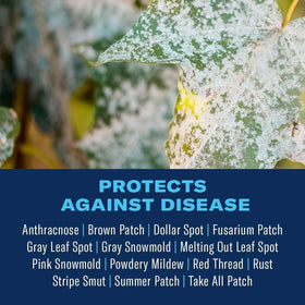 BioAdvanced Fungus Control granules being spread on turf for even coverage.