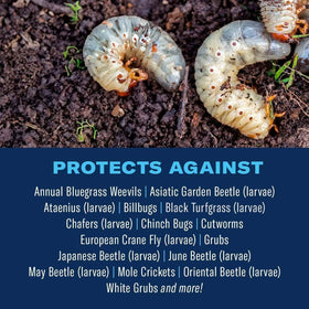 BioAdvanced grub-control granules, ready to spread, helping prevent grub damage.