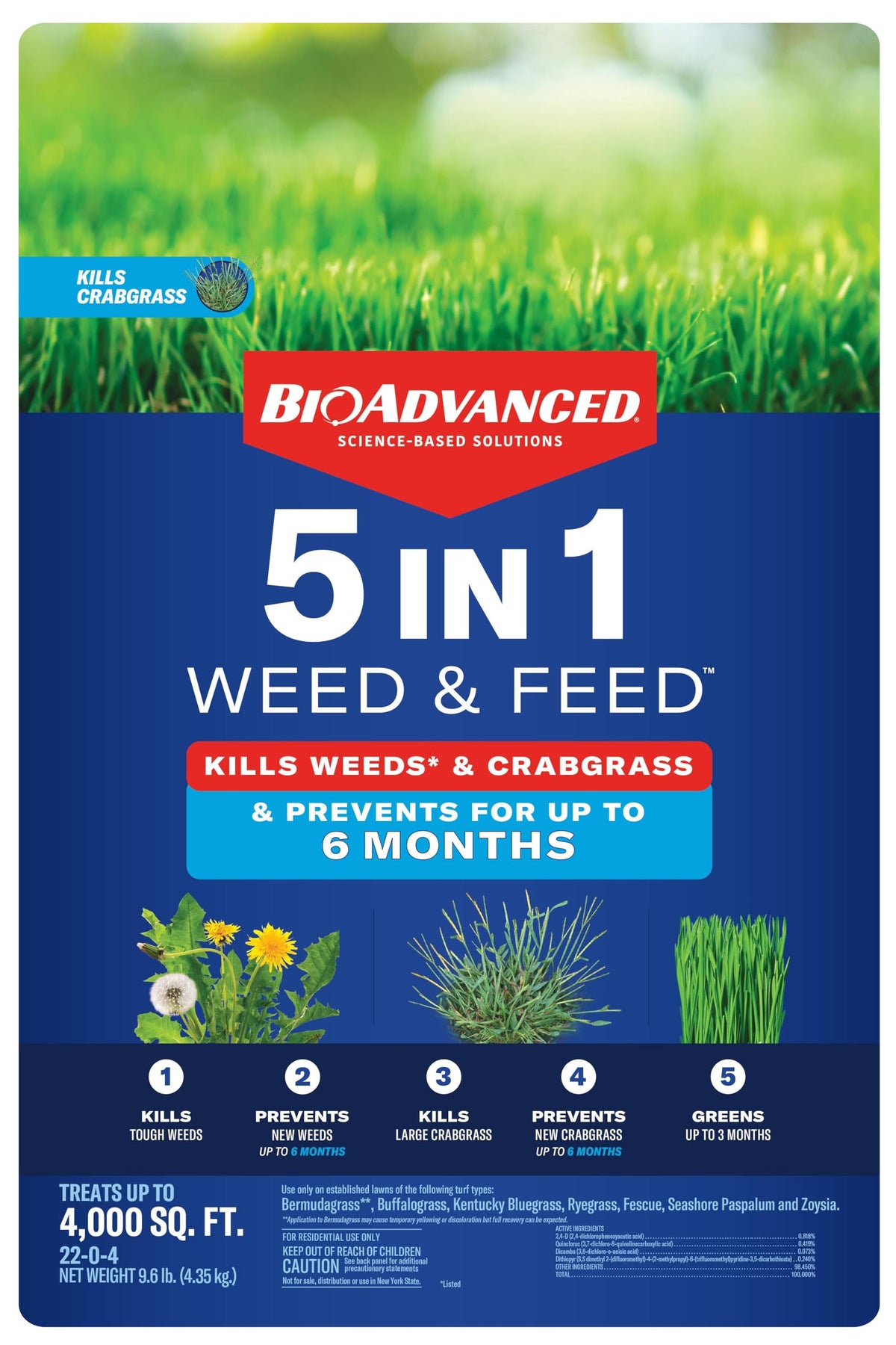 Healthy, dense lawn after consistent BioAdvanced use.