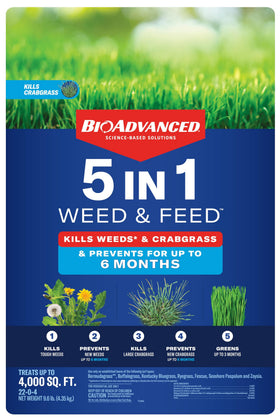 Healthy, dense lawn after consistent BioAdvanced use.