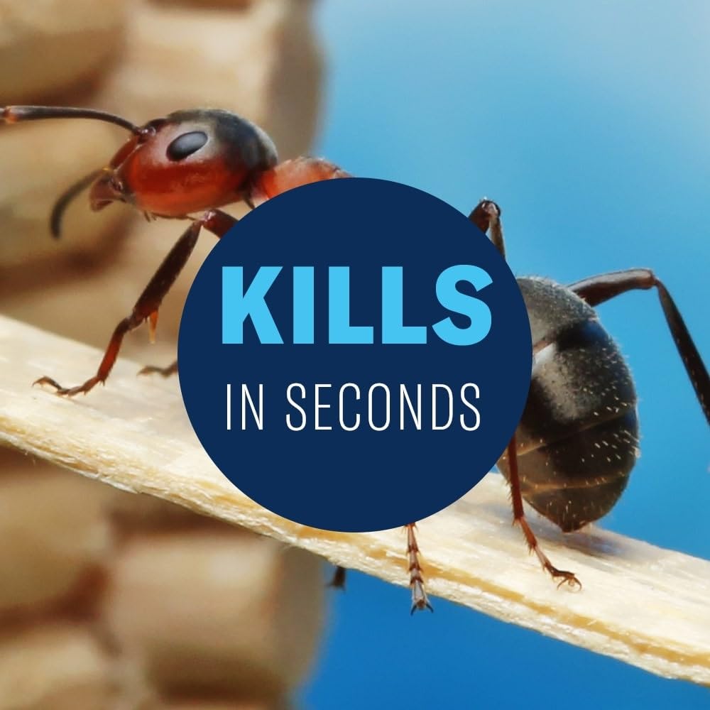 BioAdvanced Home Pest Plus Germ Killer used indoors for a clean, protected space.