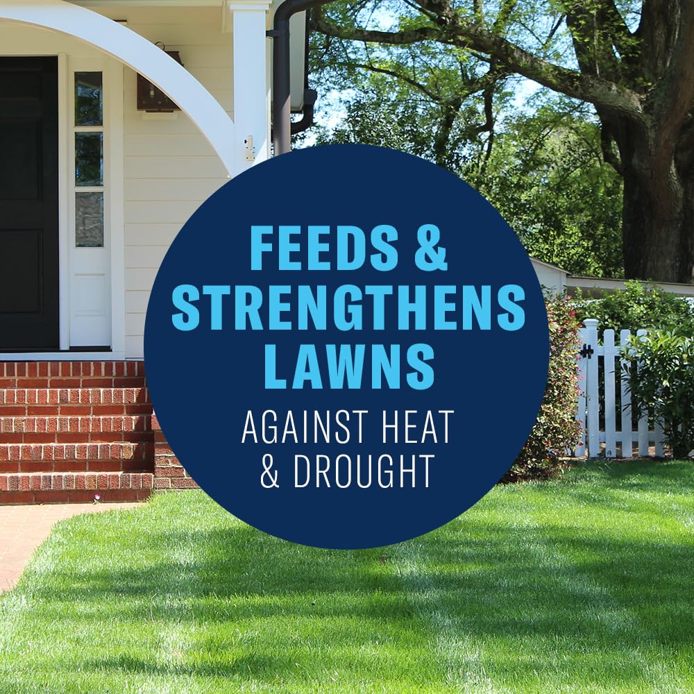 BioAdvanced lawn fertilizer greens and strengthens southern turf.