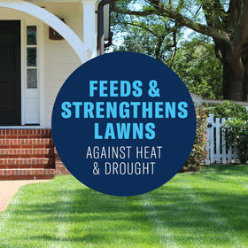 BioAdvanced lawn fertilizer greens and strengthens southern turf.