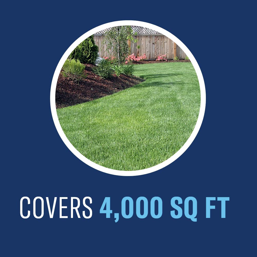 Lawn looks healthy and green after BioAdvanced treatment.