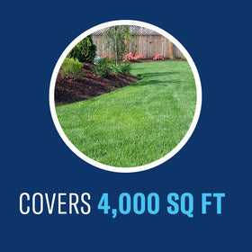 Lawn looks healthy and green after BioAdvanced treatment.