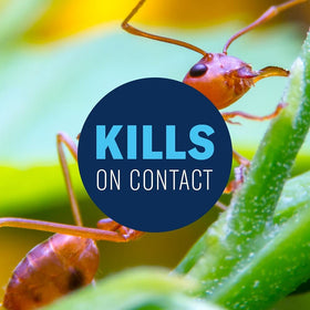 BioAdvanced lawn pest control covers up to 12,500 sq ft for yard protection