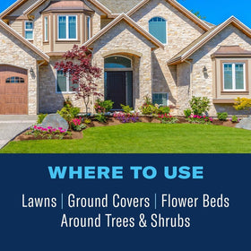 BioAdvanced turf revitalizer on healthy lawn demonstrates thicker turf after treatment.