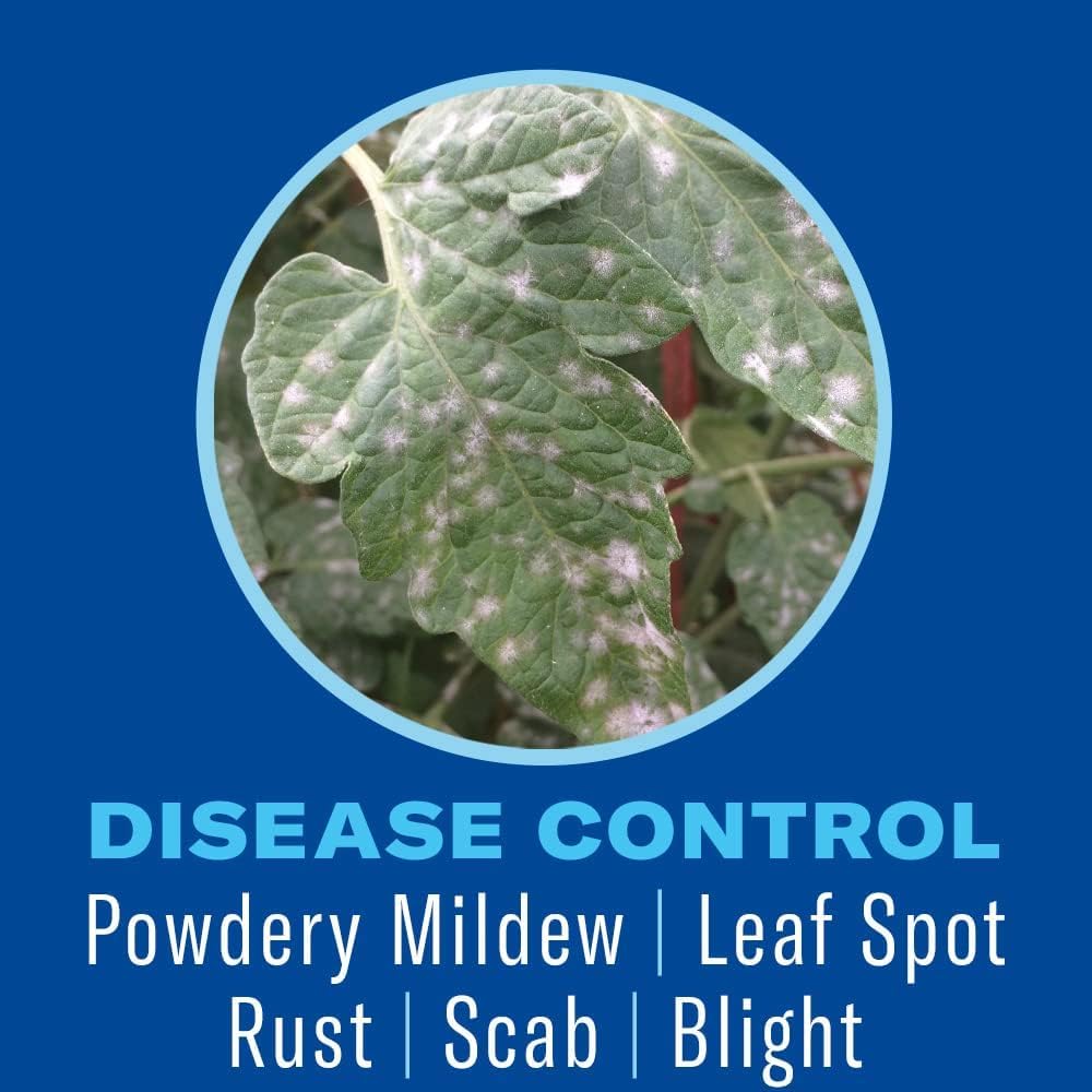 BioAdvanced miticide image shows mites being controlled on new shoots