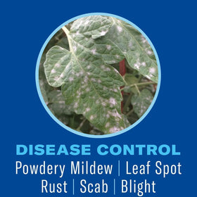 BioAdvanced miticide image shows mites being controlled on new shoots