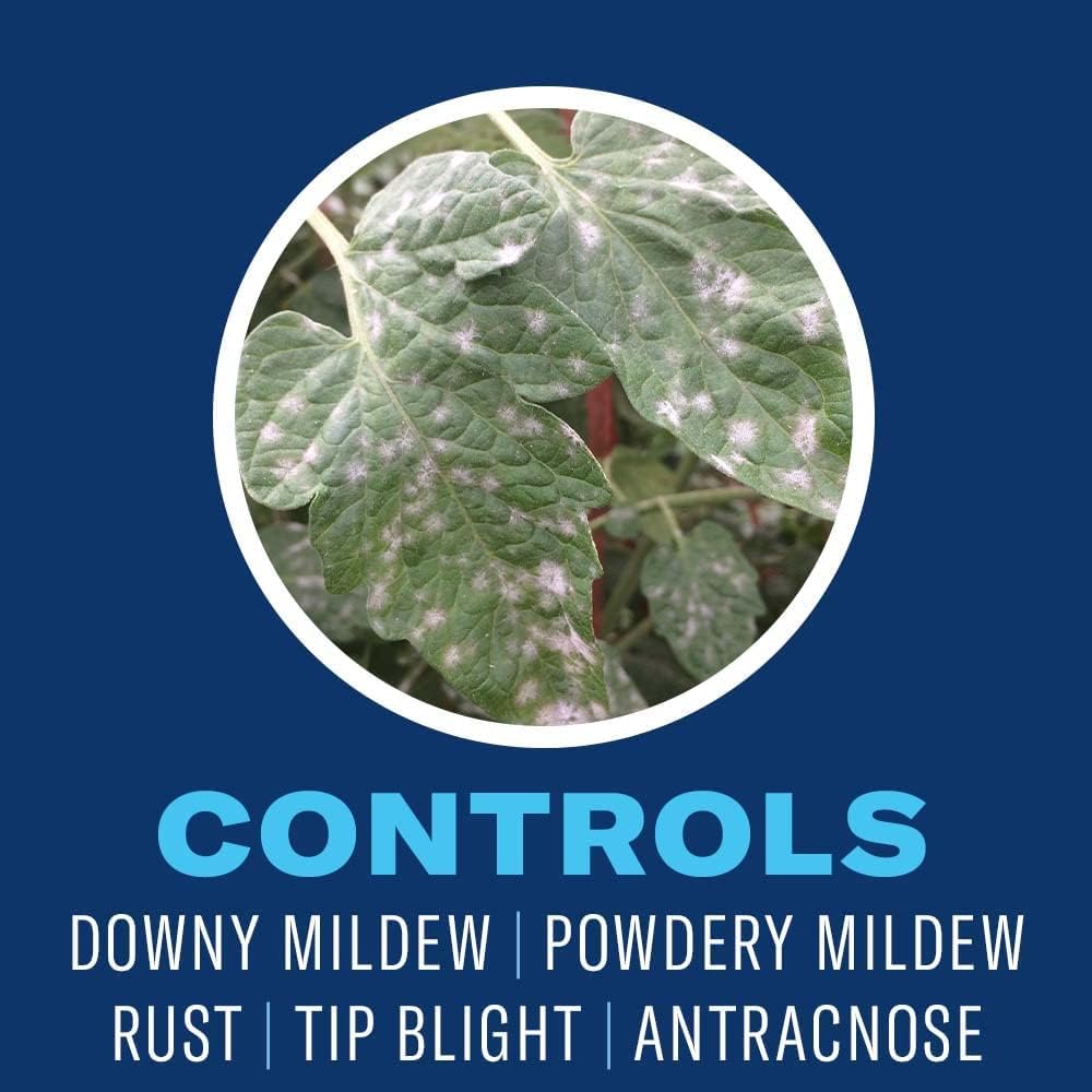 BioAdvanced Neem Oil disease-protection demonstrates mildew and spot prevention