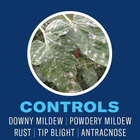 BioAdvanced Neem Oil disease-protection demonstrates mildew and spot prevention