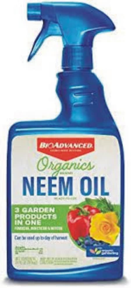 BioAdvanced Neem Oil eggs and larvae control highlights pest lifecycle management