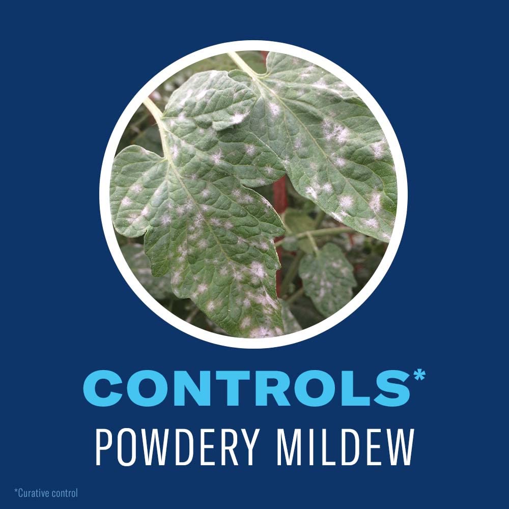 BioAdvanced Organics targets aphids on garden vegetables for quick pest relief.