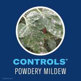 BioAdvanced Organics targets aphids on garden vegetables for quick pest relief.