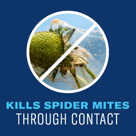 BioAdvanced Organics powdery mildew cure helps plants recover.