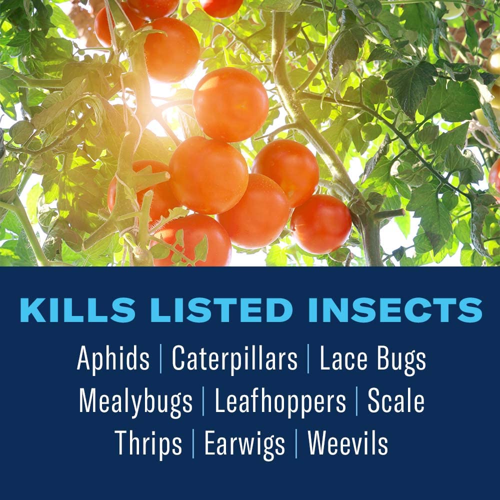 BioAdvanced Organics spray on tomato leaves protects against aphids and caterpillars.