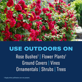 BioAdvanced outdoor spray protecting roses, ground covers, vines, and shrubs