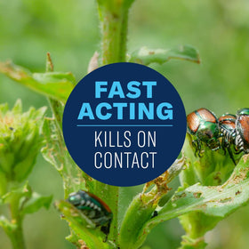 BioAdvanced outdoor pest-control spray for garden protection against common pests.