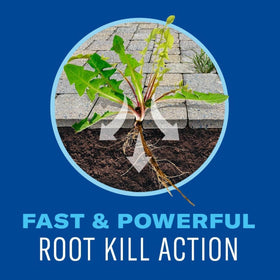 BioAdvanced rainproof spray remains effective 10 minutes after application.