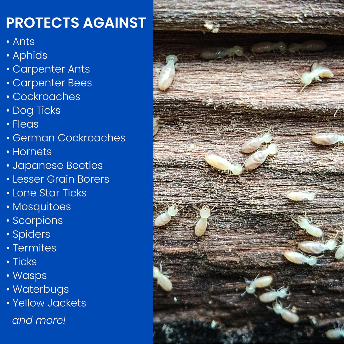 BioAdvanced 1.3-gallon ready-to-use formula supports simple DIY pest management.