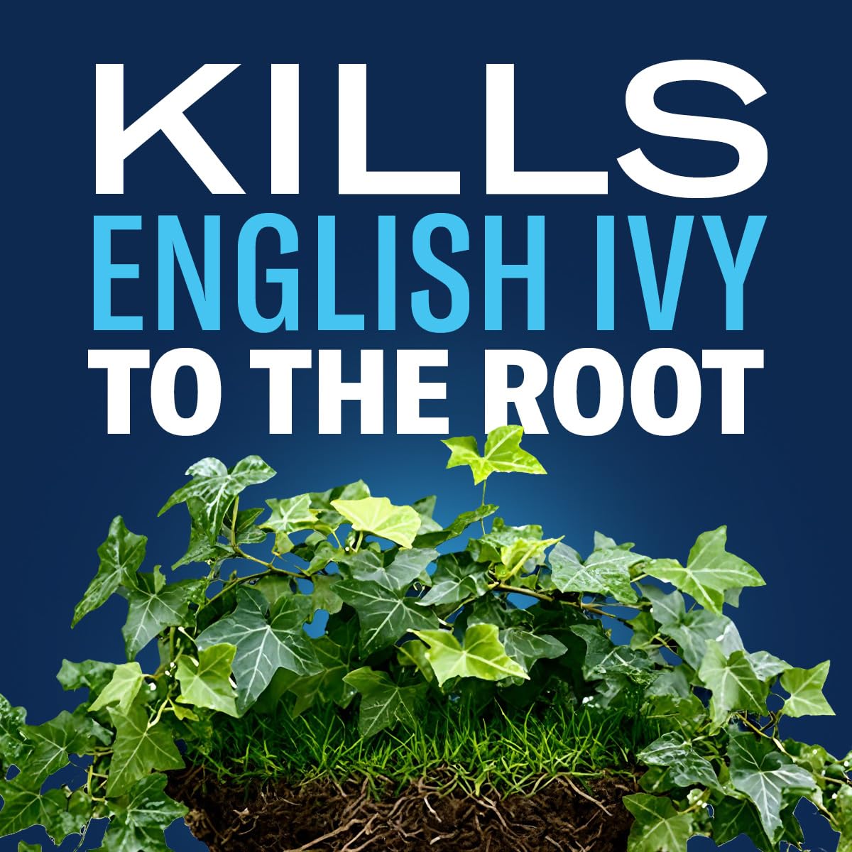 Root-kill action against poison ivy with BioAdvanced extended control.