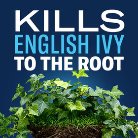 Root-kill action against poison ivy with BioAdvanced extended control.