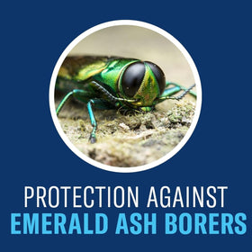 BioAdvanced root uptake provides rainproof protection for trees and shrubs.