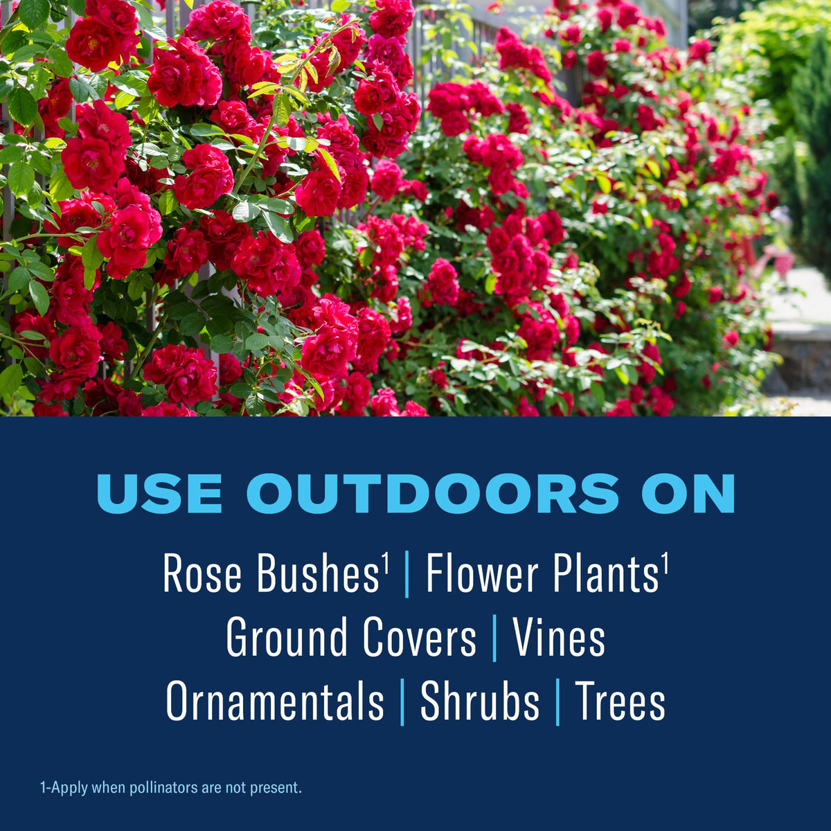 BioAdvanced pest-control spray targeting aphids and whiteflies on flowers.