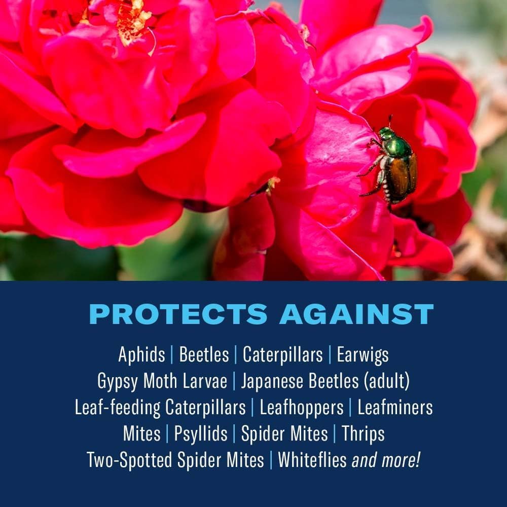 BioAdvanced 3-in-1 spray protects rose blooms from insects and fungal diseases.