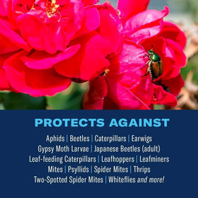 BioAdvanced 3-in-1 spray protects rose blooms from insects and fungal diseases.
