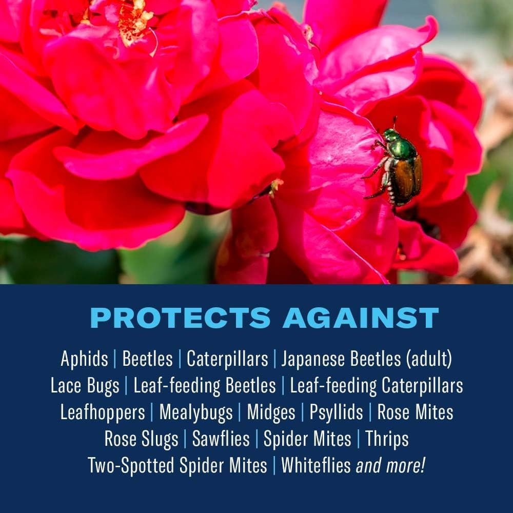 BioAdvanced spray on roses for ongoing protection.