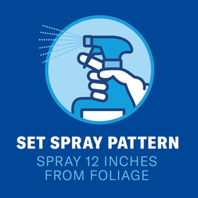 BioAdvanced spray application on a rose bush emphasizing outdoor use and action.