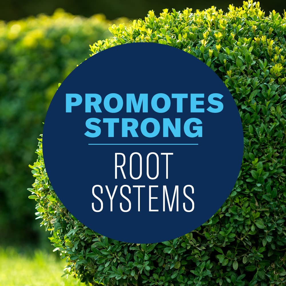 BioAdvanced Shrub Care Protect & Feed guards against black spot and mildew on shrubs