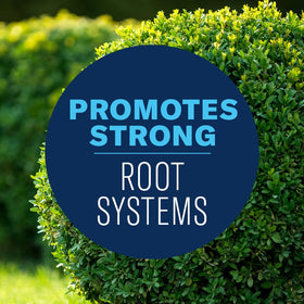BioAdvanced Shrub Care Protect & Feed guards against black spot and mildew on shrubs