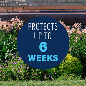 BioAdvanced Shrub Care Protect & Feed used around outdoor shrubs in garden beds