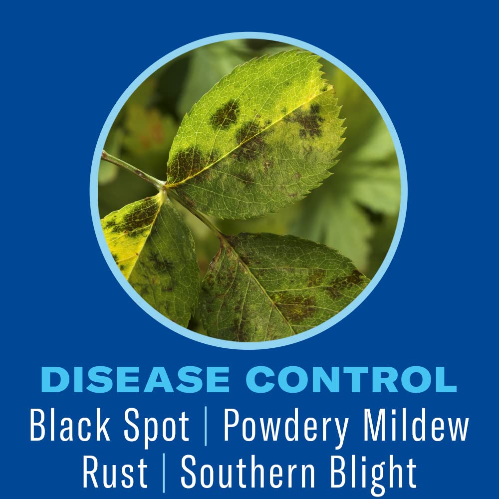 BioAdvanced Shrub Care Protect & Feed provides systemic protection for shrubs