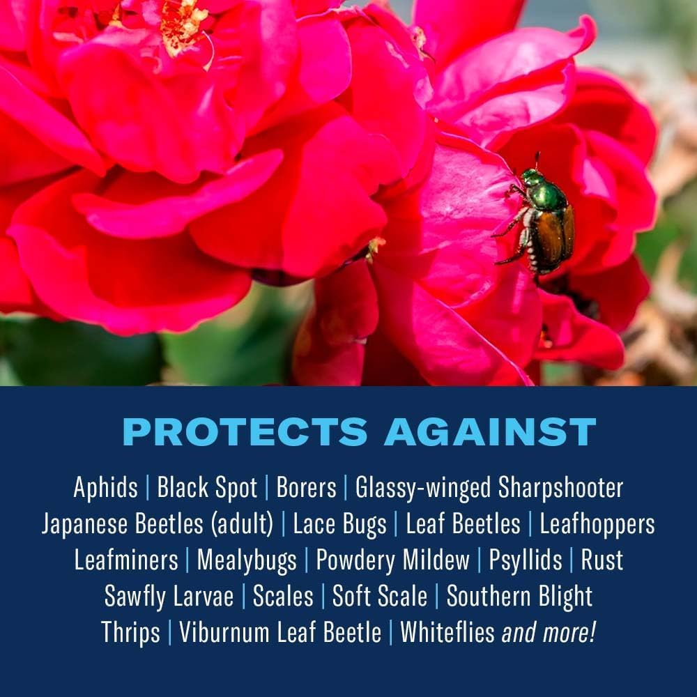 BioAdvanced promotes strong roots and beautiful blooms for roses and flowers.