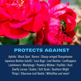 BioAdvanced promotes strong roots and beautiful blooms for roses and flowers.
