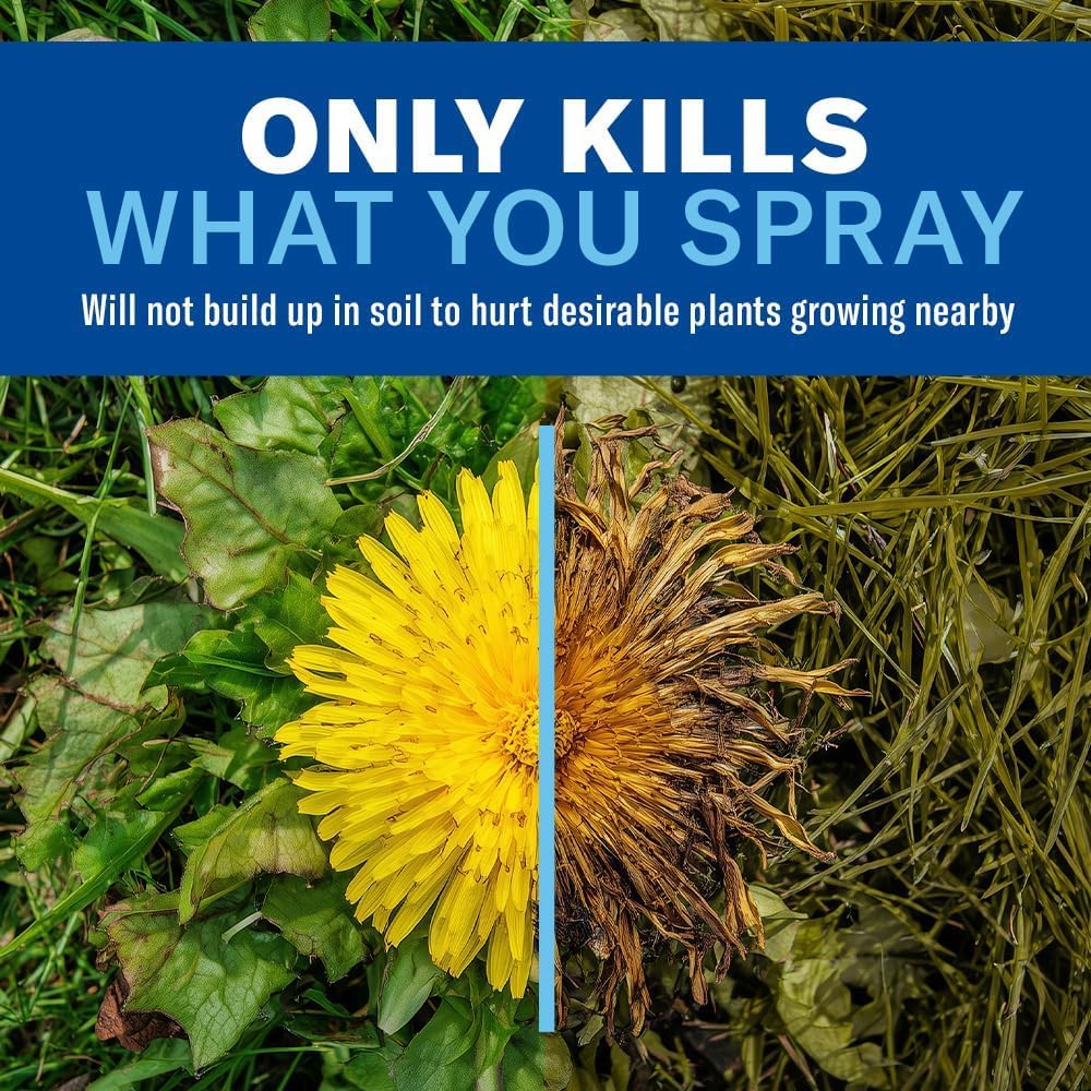 BioAdvanced spray targets trees and foundations for precise weed control.