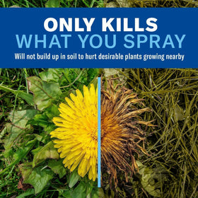 BioAdvanced spray targets trees and foundations for precise weed control.