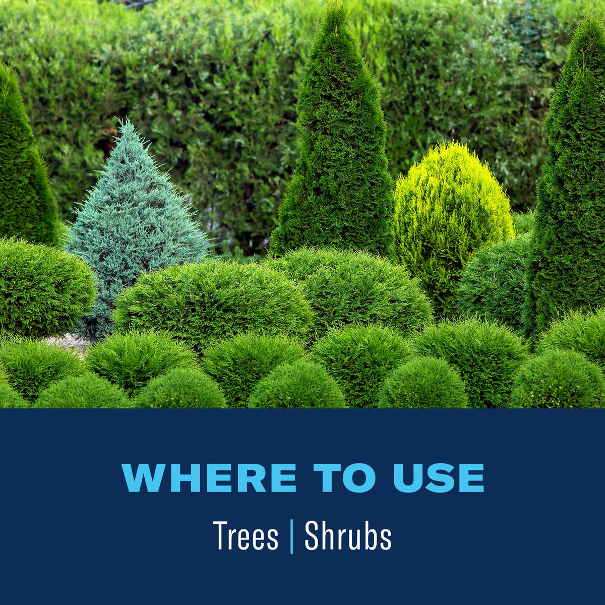 BioAdvanced weeks-protection-tree-shrub promises up to two weeks of control