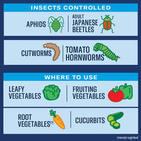 BioAdvanced vegetable garden pest killer bottle in a home garden setting.