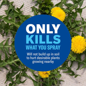 BioAdvanced shows visible 3-hour results on weeds near pathways.