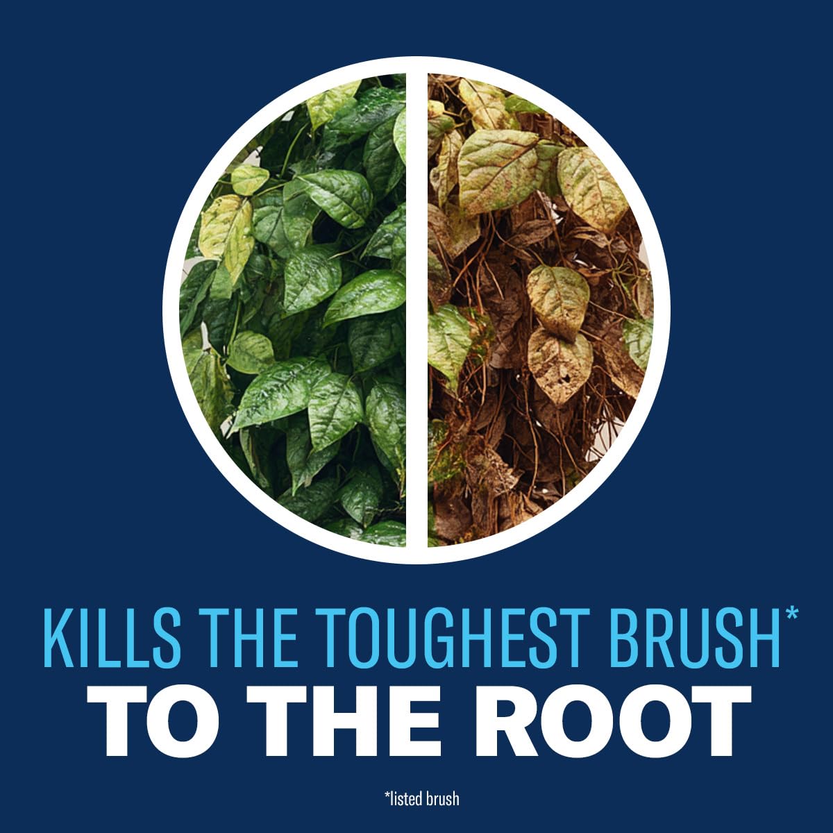 Visible wilting and yellowing appear within days after BioAdvanced treatment.