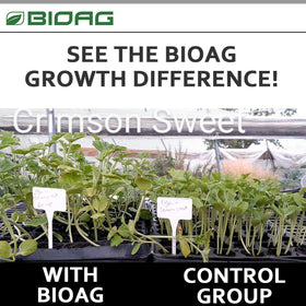 BioAg Ful-Power in a hydroponics setup supports clean irrigation and steady feeding.