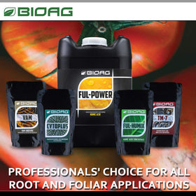 BioAg Ful-Power seed germination closeup shows vigorous sprouts.
