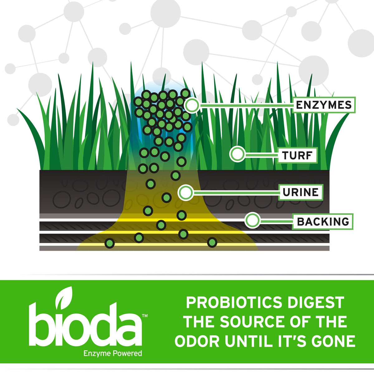 Bioda Probiotic Outdoor Odor Eliminator on artificial grass keeps play areas inviting.
