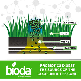 Bioda Probiotic Outdoor Odor Eliminator on artificial grass keeps play areas inviting.