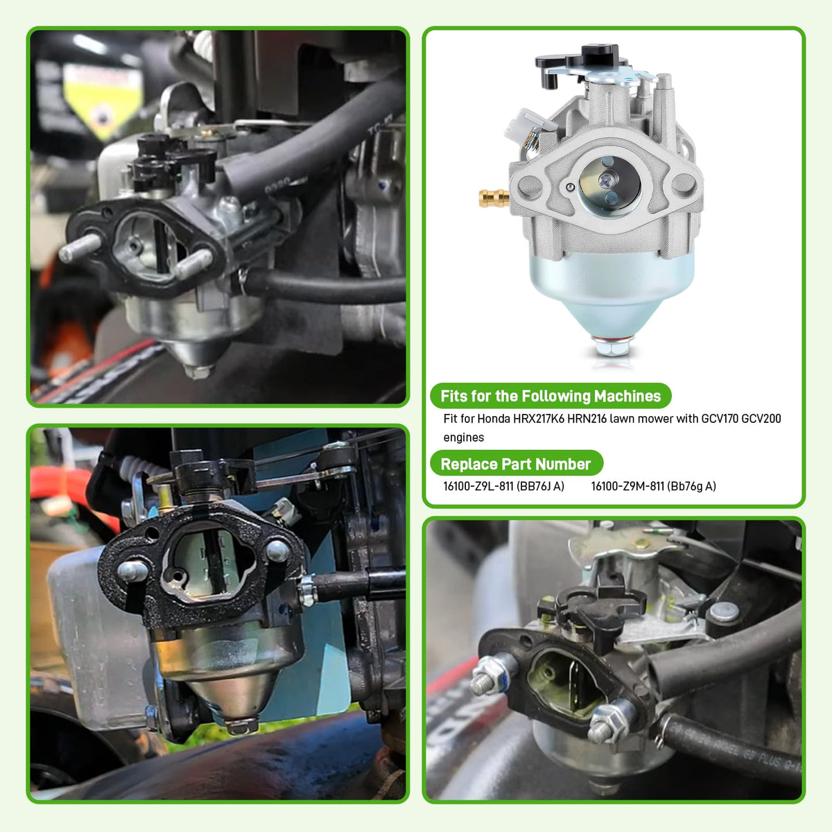 BioLion GCV170 carburetor packaging with included gaskets, filter, and more